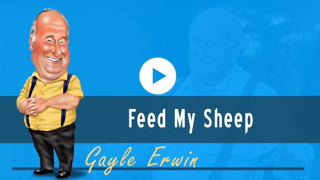 Feed-My-Sheep